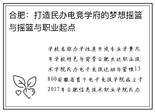 合肥：打造民办电竞学府的梦想摇篮与摇篮与职业起点